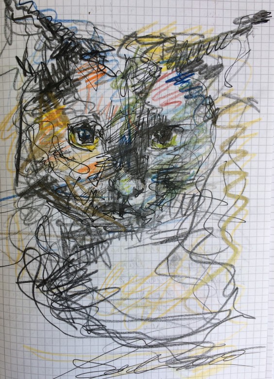 07
